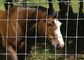 La porte de barrière de ferme de clôture d'animaux/bétail de bétail lambrissent la taille de la barrière 0.6-2.5m fournisseur