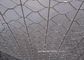 Fabrication de fil tissée hexagonale galvanisée plongée chaude pour la cage de volaille fournisseur